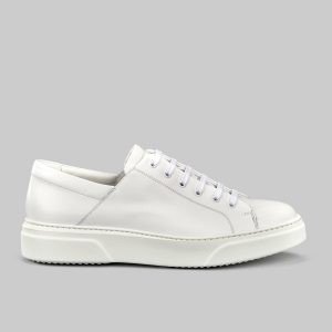 Spectre low sneakers